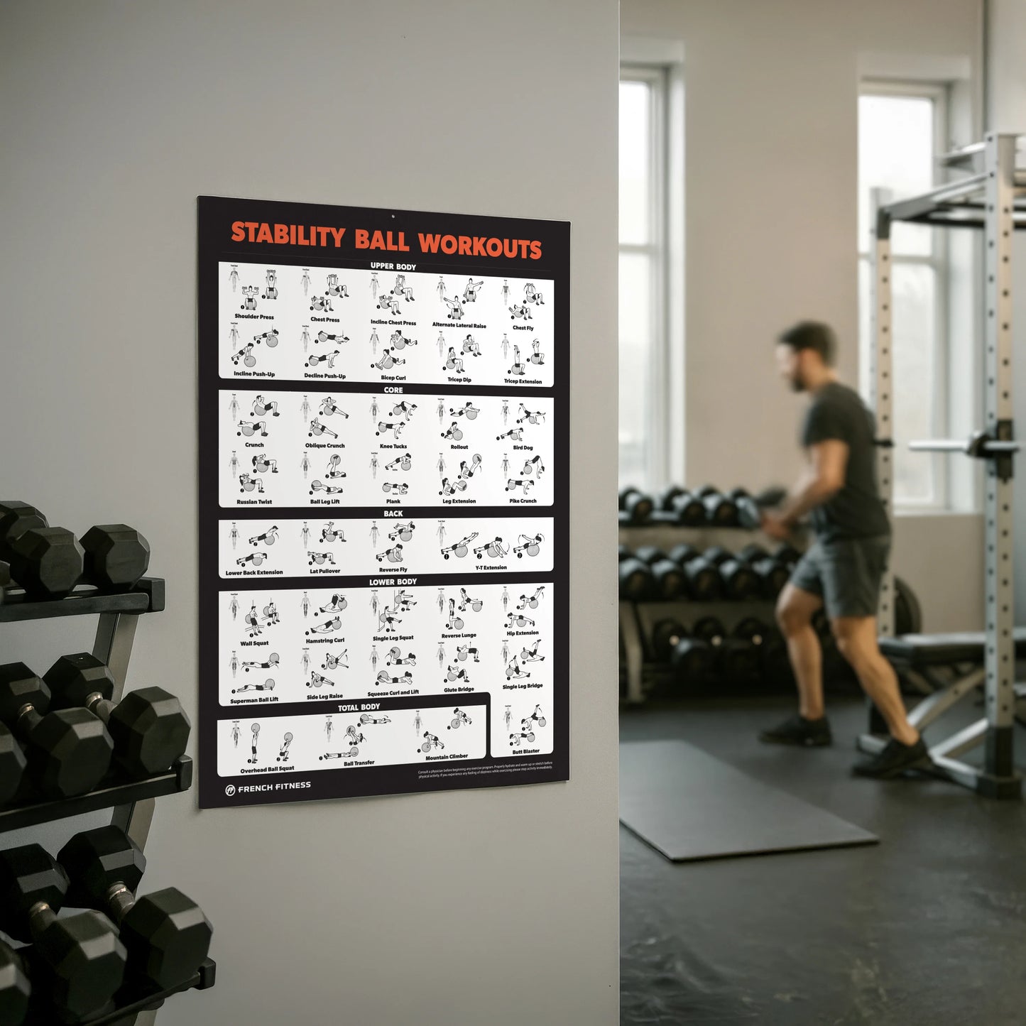 French Fitness Stability Ball Workout Training Charts / Posters (New)