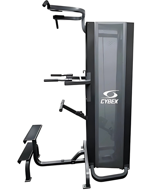 Cybex Standing Chin Dip Assist Modular (On Extended Frame) (Remanufactured) Image