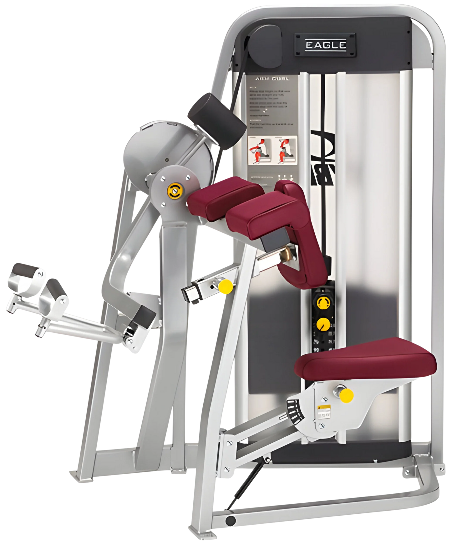 Cybex Eagle Arm / Bicep Curl 11070 (Remanufactured) - Angled View