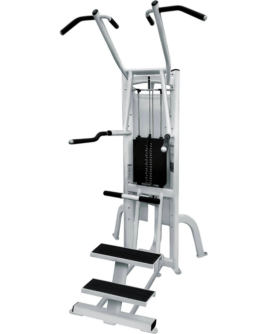 Cybex Free Standing Dip / Chin Assist (Remanufactured) Image