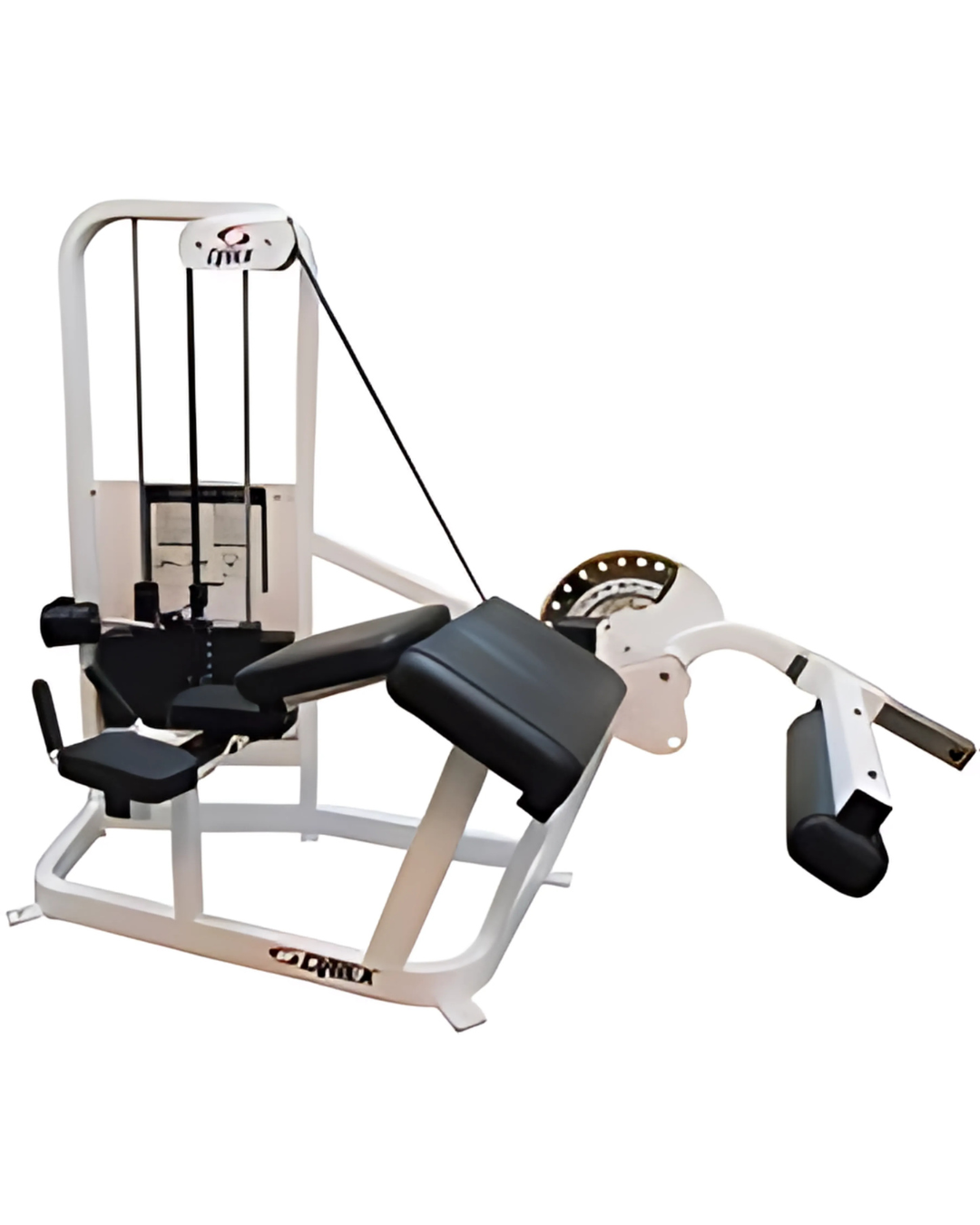 Cybex VR2 Prone Leg Curl (Remanufactured) Image