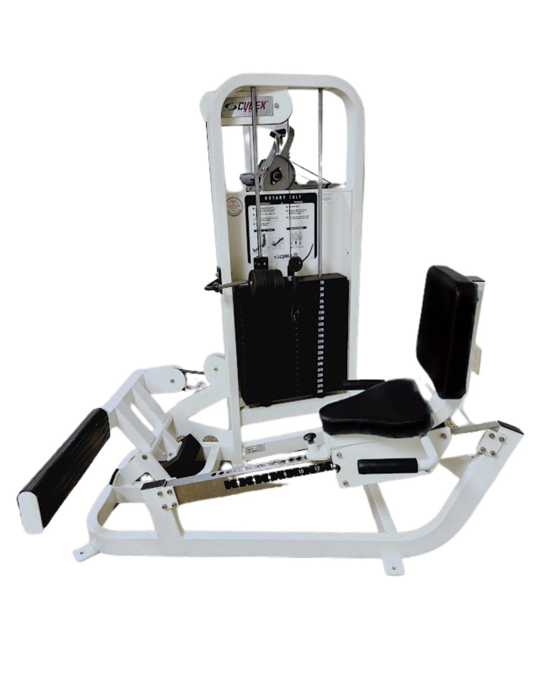 Cybex VR2 Rotary Calf (Remanufactured) Image