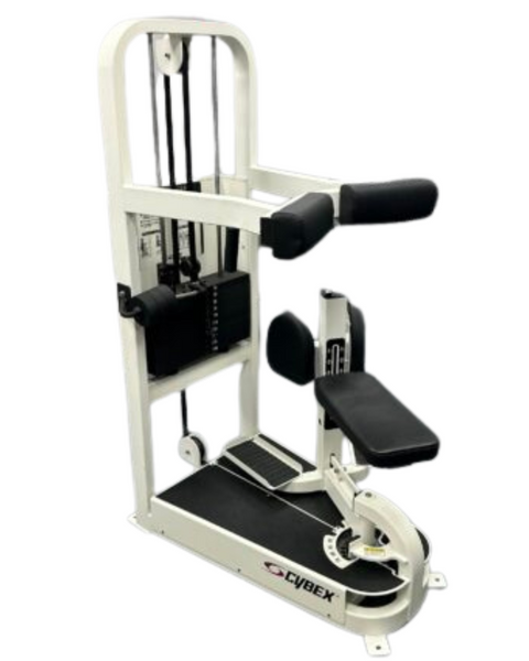 Cybex VR2 Torso Rotation (Remanufactured) Image 3
