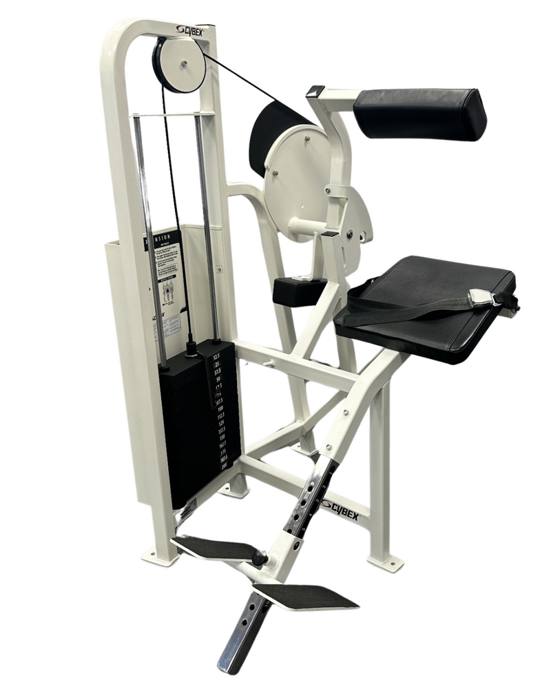 Cybex VR2 Back Extension (Remanufactured) Image