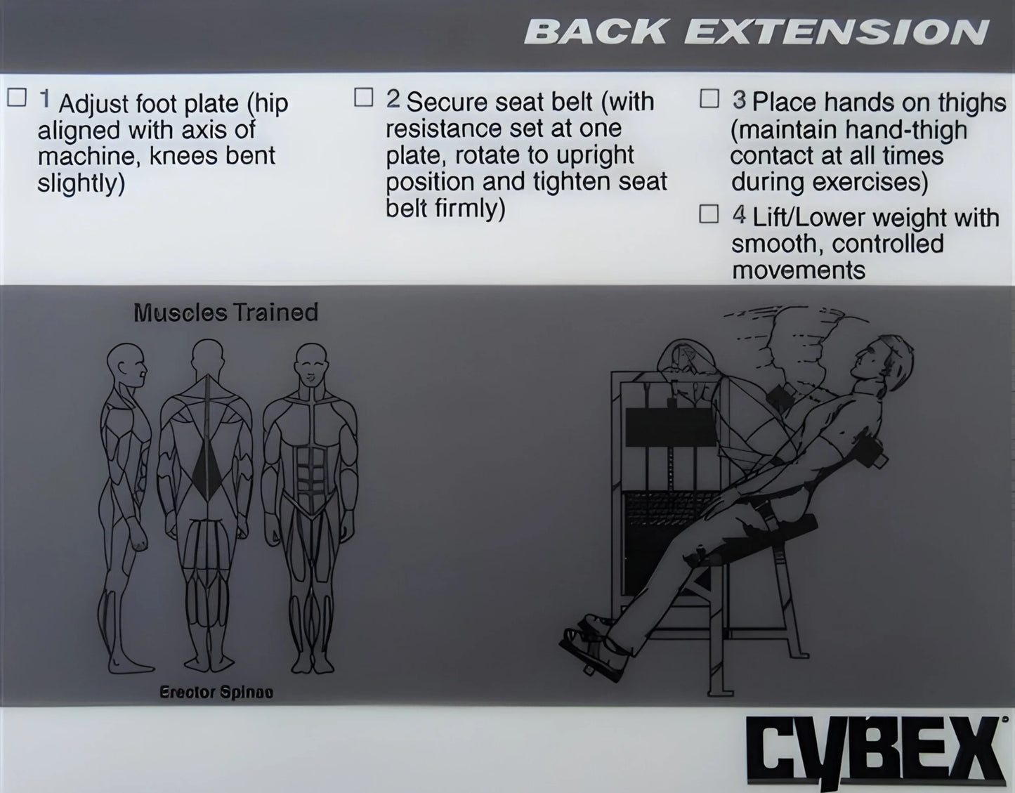 Cybex Classic Back Extension (Remanufactured) - Instructions