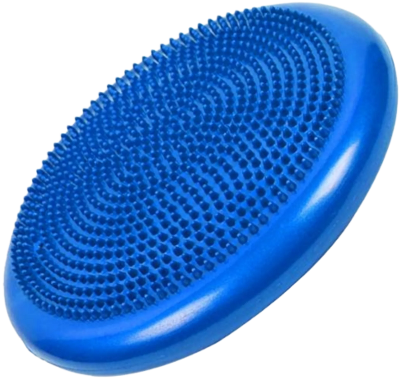 French Fitness 33cm Balance Cushion / Stability Disc (New)
