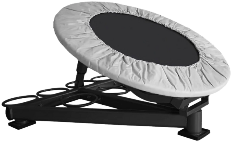 French Fitness MBR500 Medicine Ball Rebounder (New)