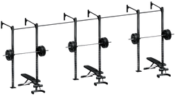 French Fitness Wall Mount Rig & Rack System 1 (New) Image