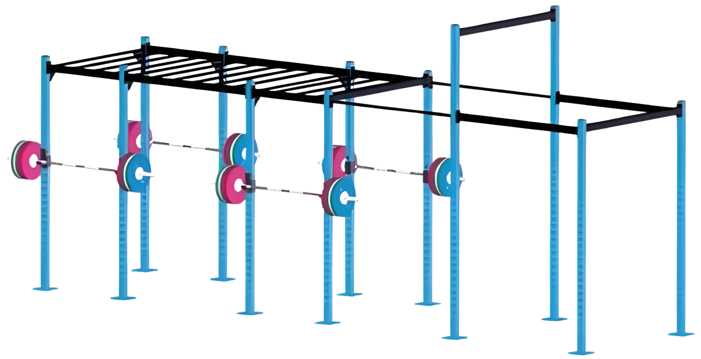 French Fitness Free Standing Rig 4 (New)