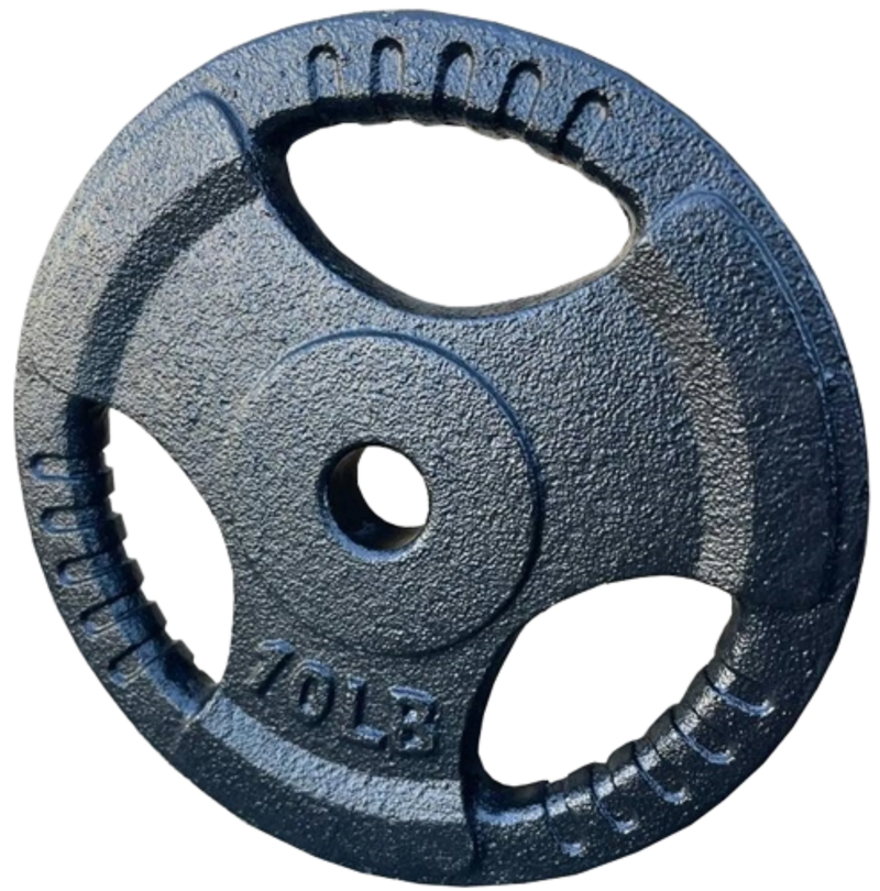 French Fitness Standard Cast Iron 1" Weight Plate 10 lbs (New)