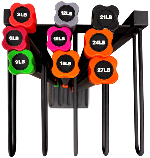 French Fitness Weighted Body Fitness Bar Rack (New)