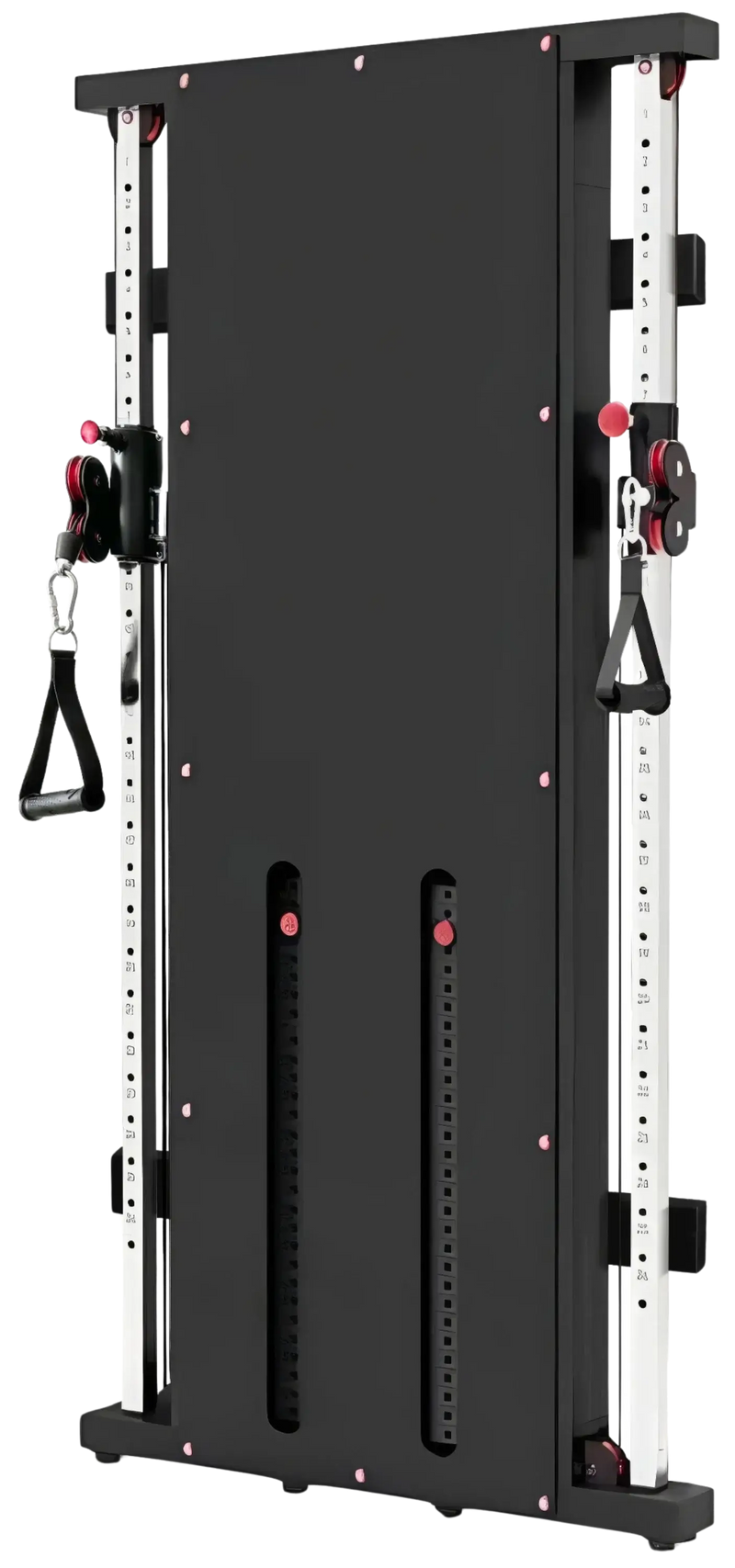French Fitness Wall Mounted Dual Cable Column Component (New) Image