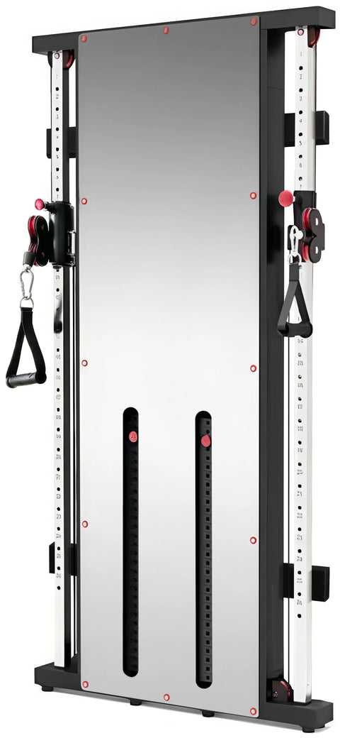 French Fitness Wall Mounted Mirror Functional Trainer (New)