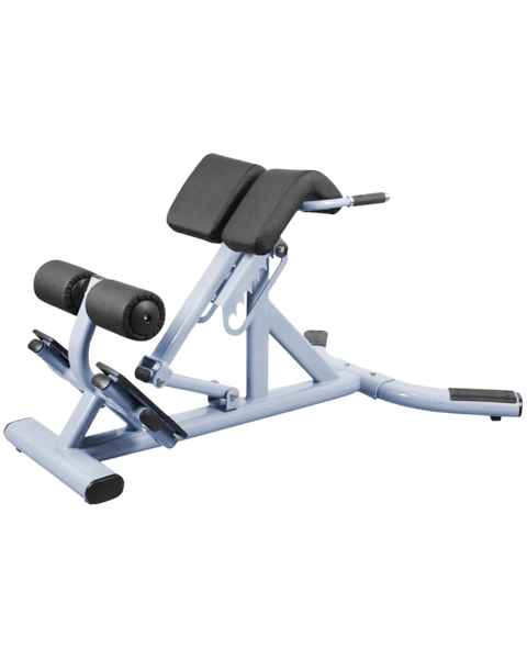 French Fitness FFS Silver 45 Degree Hyperextension Back Extension (New)