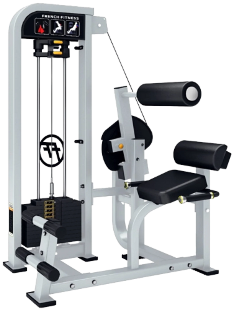 French Fitness Shasta Selectorized Back Extension (New)