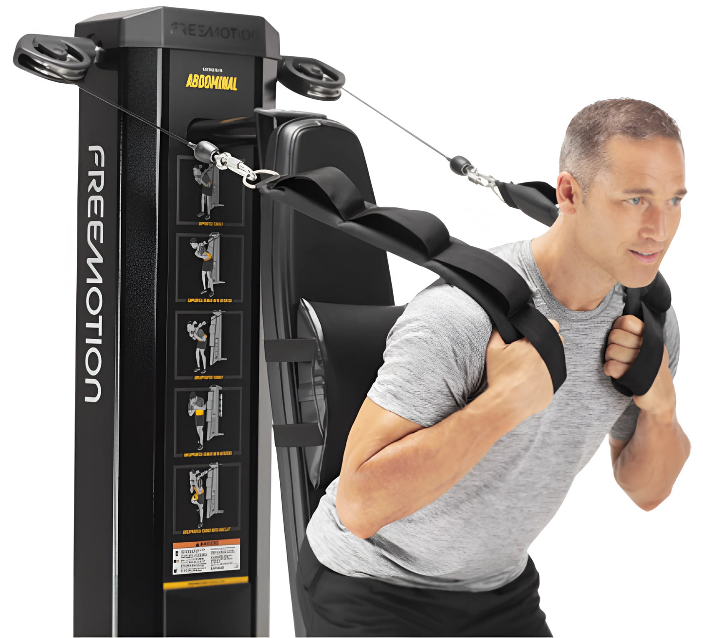 FreeMotion Abdominal GZFM60113 (Remanufactured)