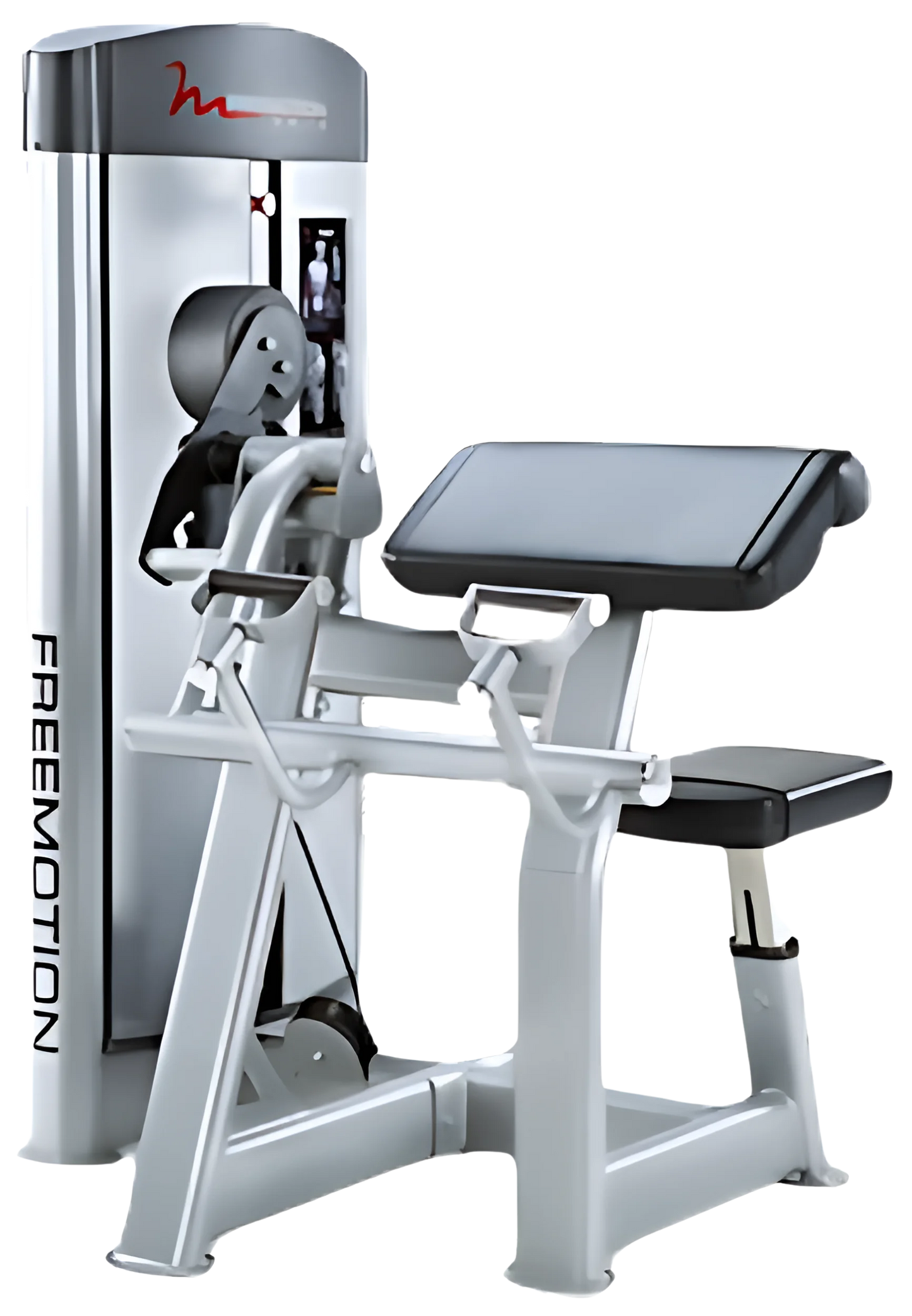 FreeMotion Epic Bicep Curl F810 (Remanufactured)
