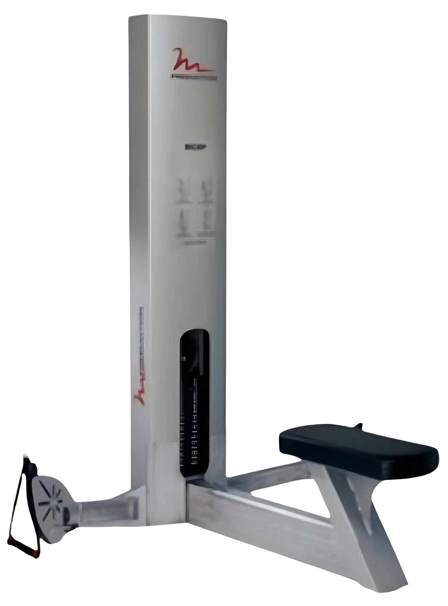 FreeMotion Bicep GZFM6002 (Remanufactured)