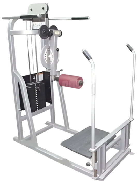 Life Fitness pro / pro1 Multi Hip (Remanufactured) Image