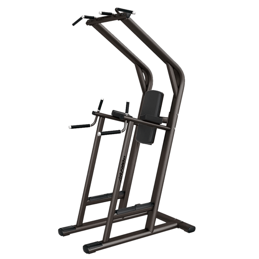 Life Fitness Signature Chin / Dip VKR Leg Raise (Remanufactured) Image