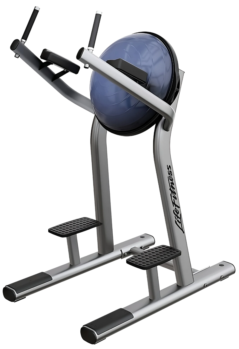 Life Fitness Signature Bosu VKR Leg Raise (Remanufactured)