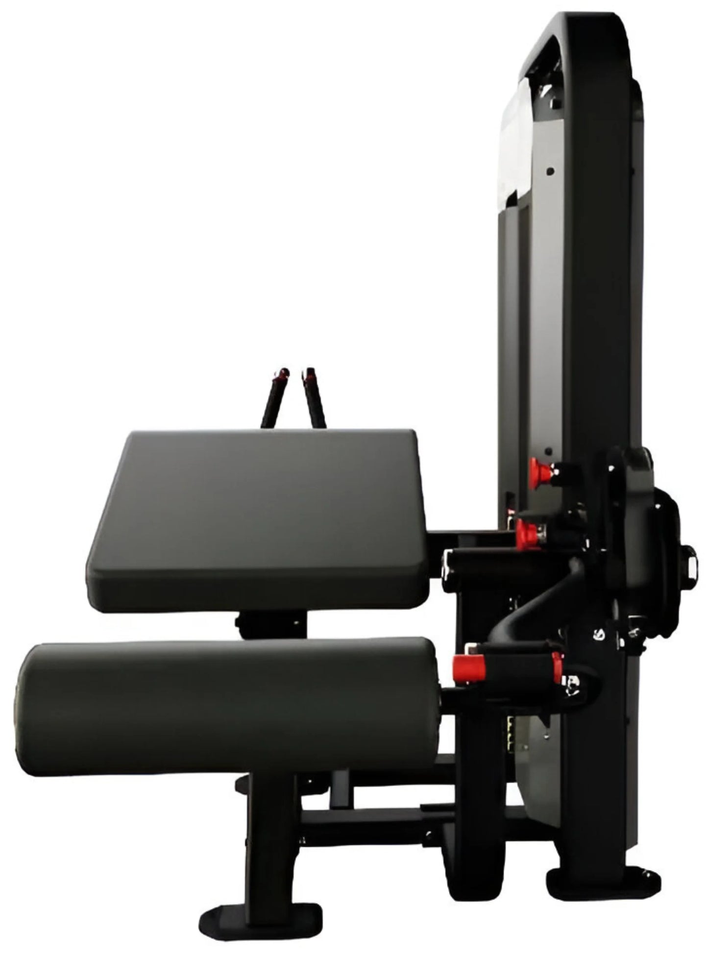 Nautilus Impact Prone Leg Curl 9NA-S1301-60AGS (New)