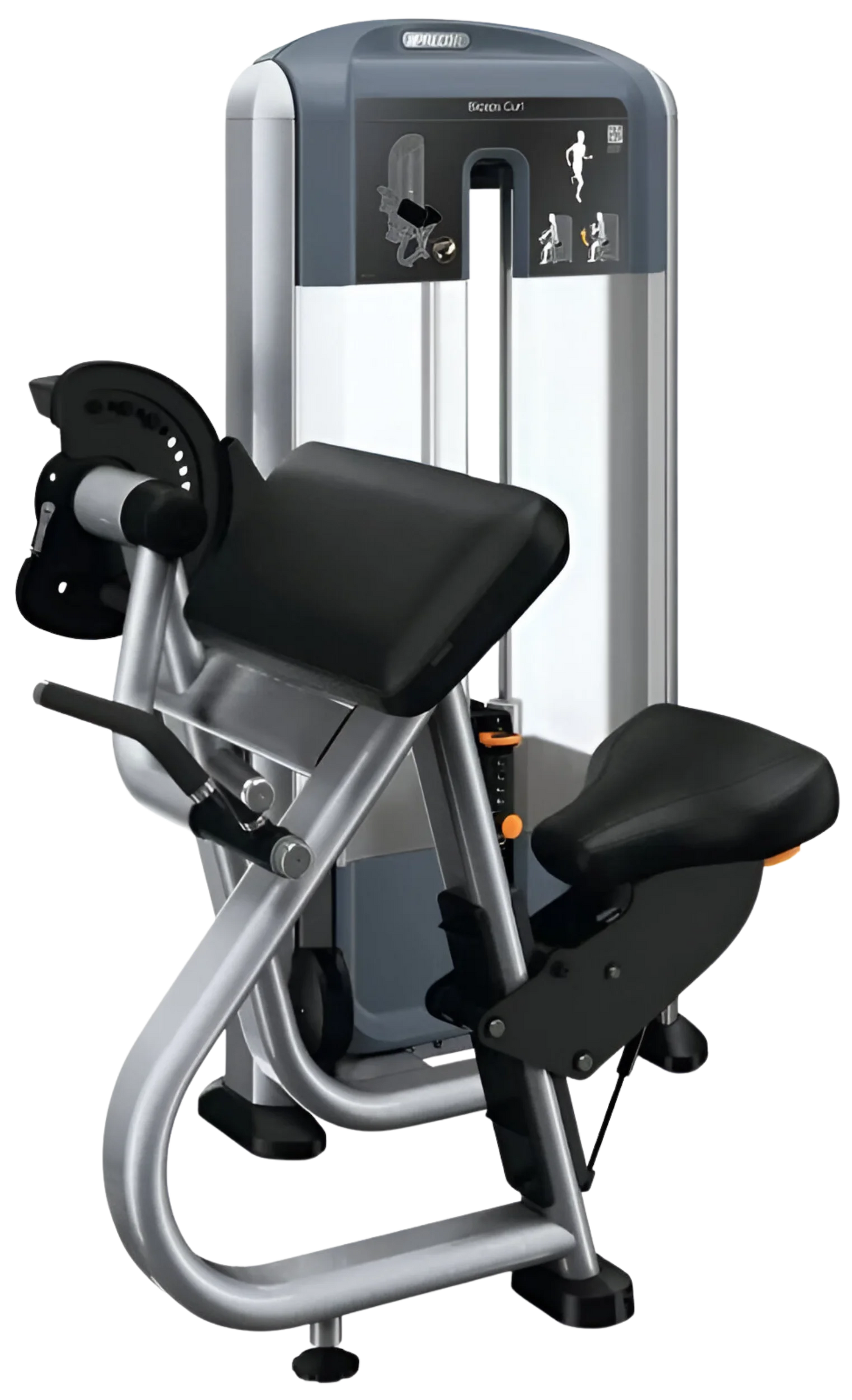 Precor DSL0204 Discovery Series Selectorized Biceps Curl (Remanufactured) Image