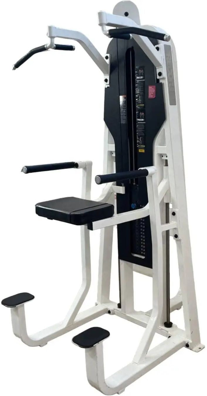 Precor Icarian Chin Dip Assist (Remanufactured)