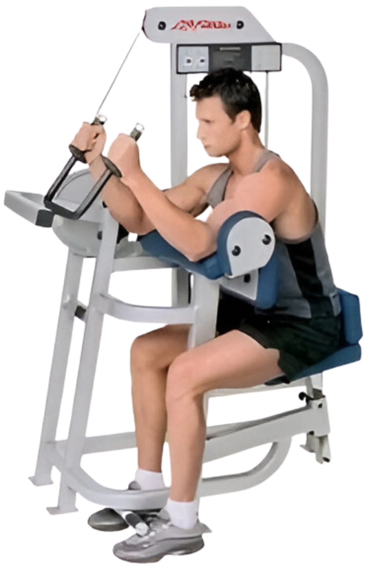 Life Fitness Pro / Pro1 Tricep Arm Extension (Remanufactured) Image