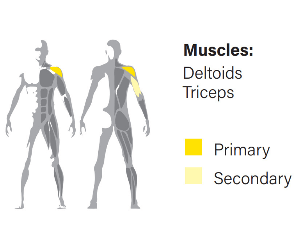 Technogym Artis Shoulder Press MK69 w/U-GO Console (Remanufactured) Image 5