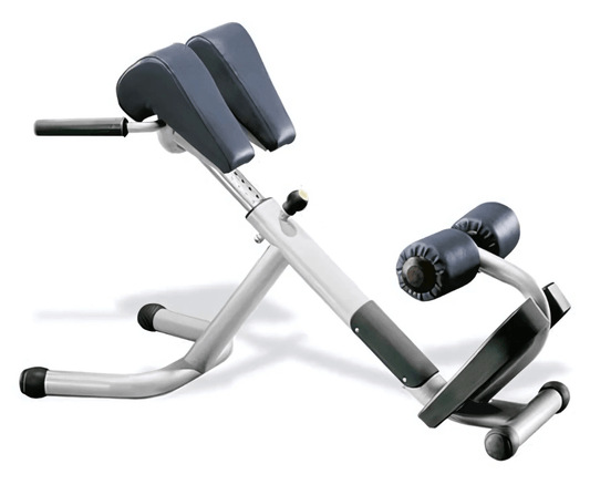 Technogym Selection MED 45 Degree Back Hyperextension (Remanufactured) Image