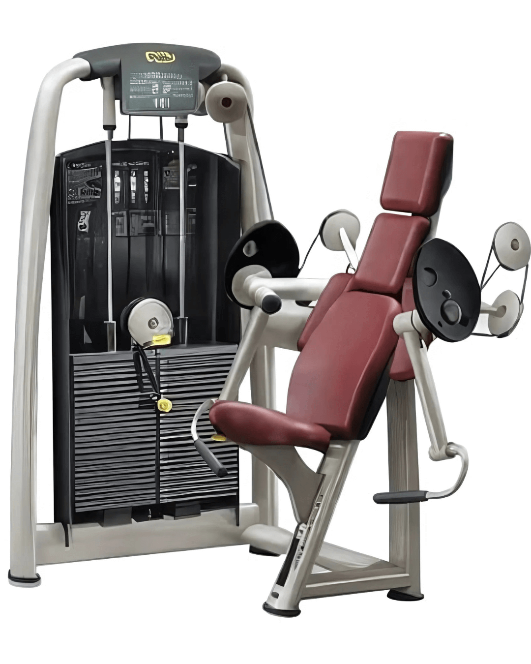Technogym Selection Arm Curl (Remanufactured) Image