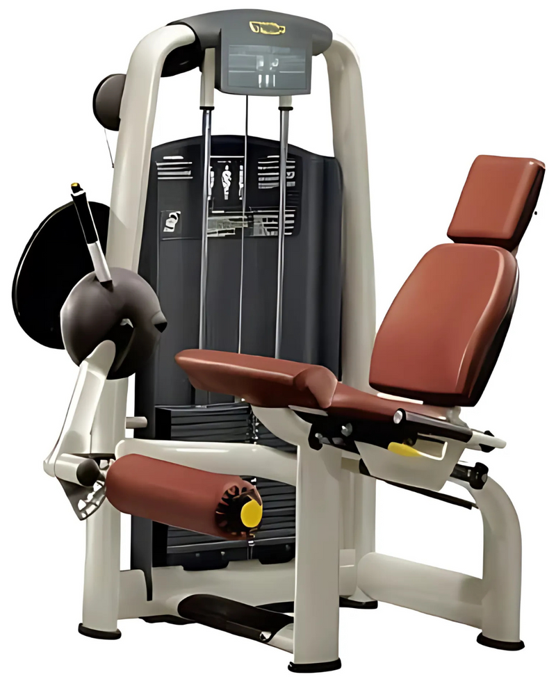 Technogym Selection Leg Extension (Remanufactured) Image
