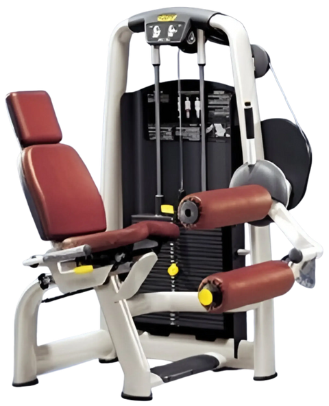 Technogym Selection Seated Leg Curl (Remanufactured) Image