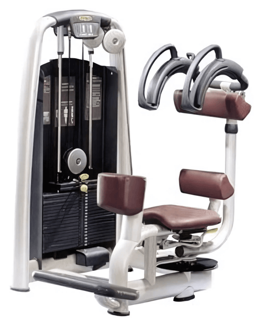Technogym Selection Rotary Torso Rotation (Remanufactured) Image