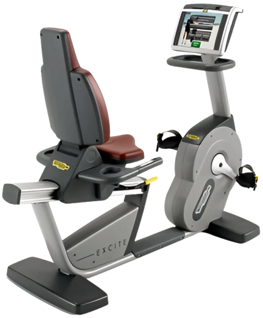 Technogym 700e Recumbent Recline Bike w/Visioweb (Remanufactured) Image