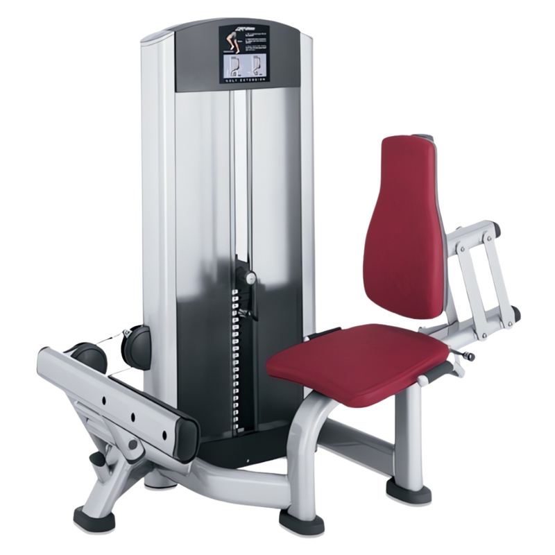 Life Fitness Calf Extension Signature Series FZCE (Remanufactured)