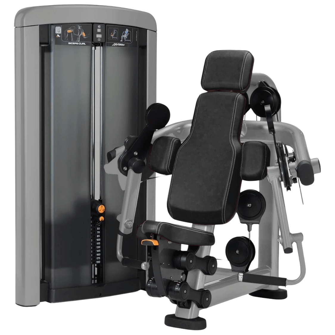 Life Fitness Insignia Series Biceps Curl (Remanufactured) Image