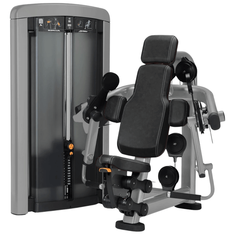 Life Fitness Insignia Series Biceps Curl (Remanufactured) Image