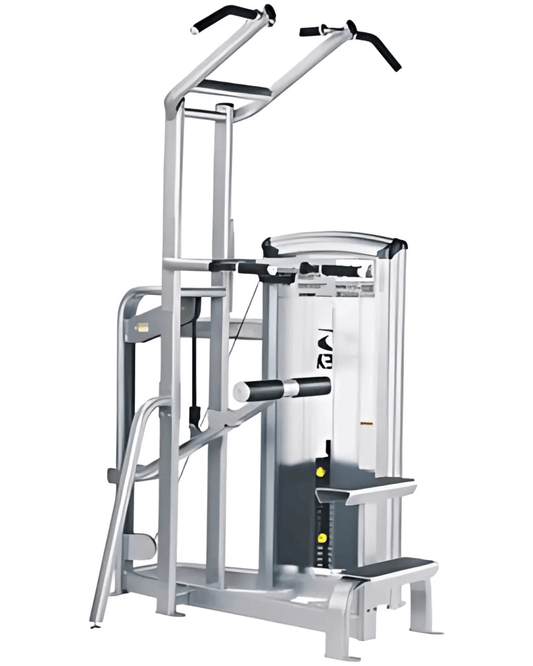 Cybex VR3 Dip/Chin Assist (Remanufactured) Image