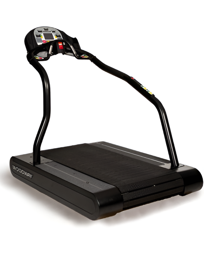 Woodway Pro Treadmill (Remanufactured)