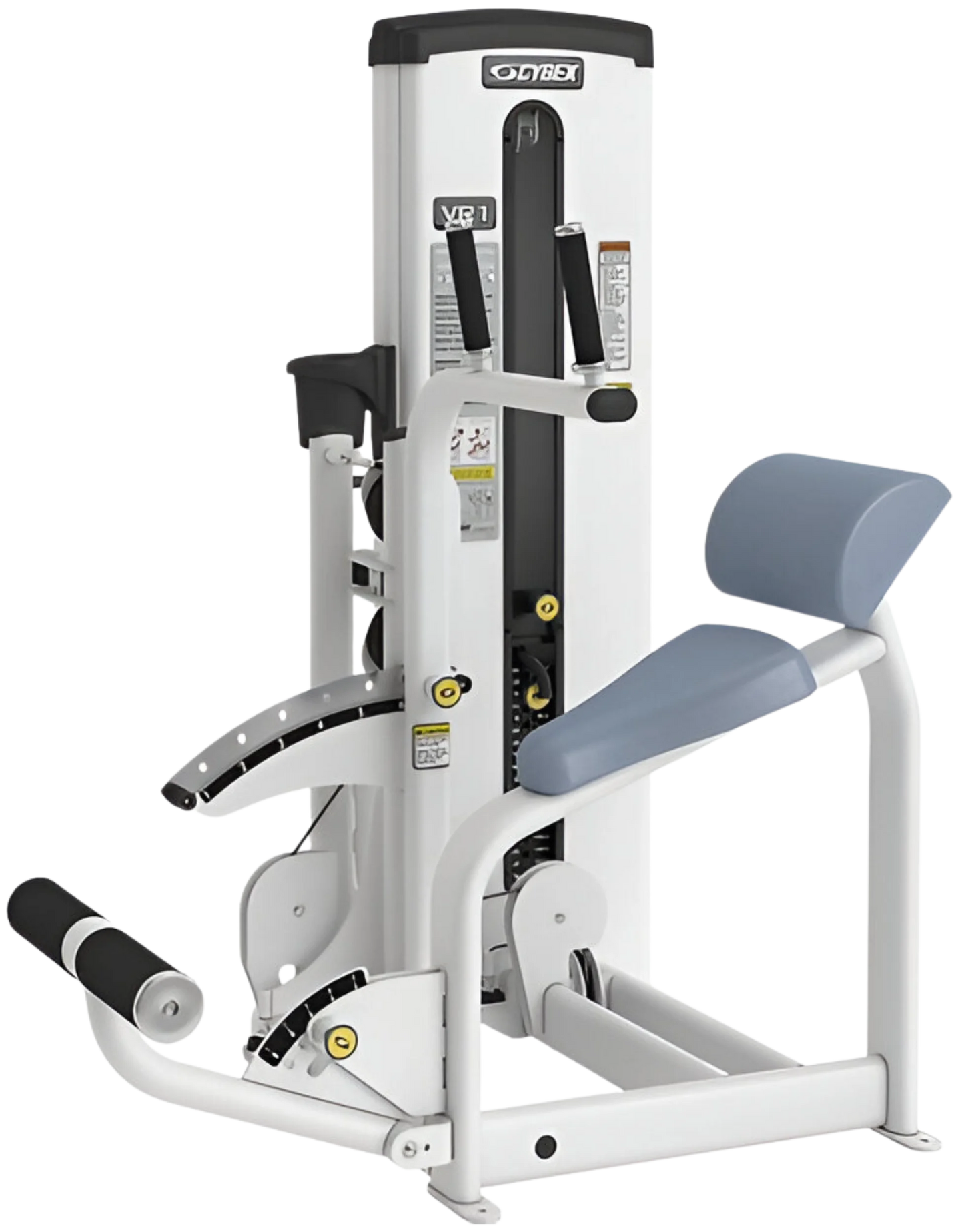 Cybex VR1 Dual Abdominal/Back Extension (Remanufactured) - Angled View