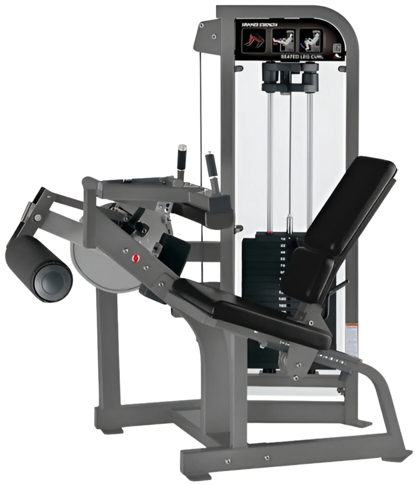 Hammer Strength Select Seated Leg Curl (Remanufactured) Image