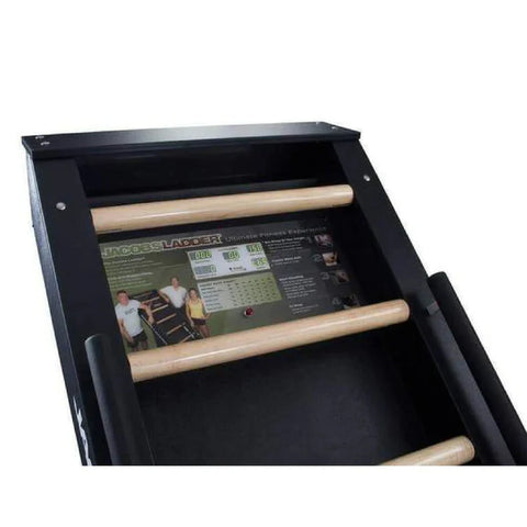 Jacobs Ladder Exercise Machine (New)