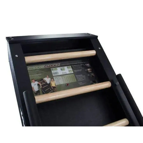 Jacobs Ladder Exercise Machine (New) Image 5