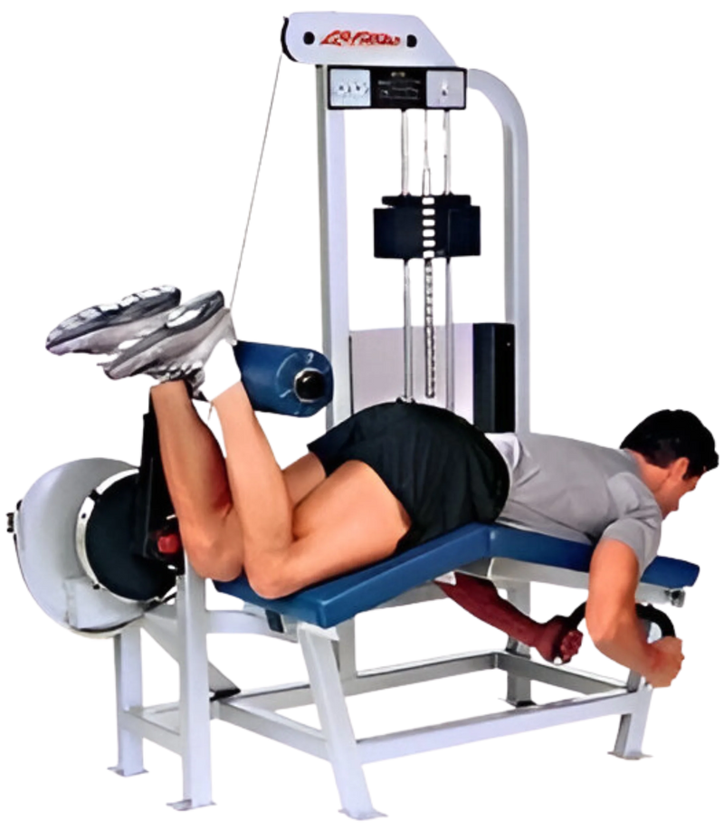 Life Fitness Pro / Pro1 Prone Leg Curl (Remanufactured)