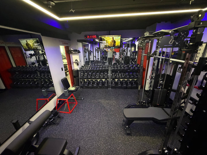 Private Home Gym - Northville, MI