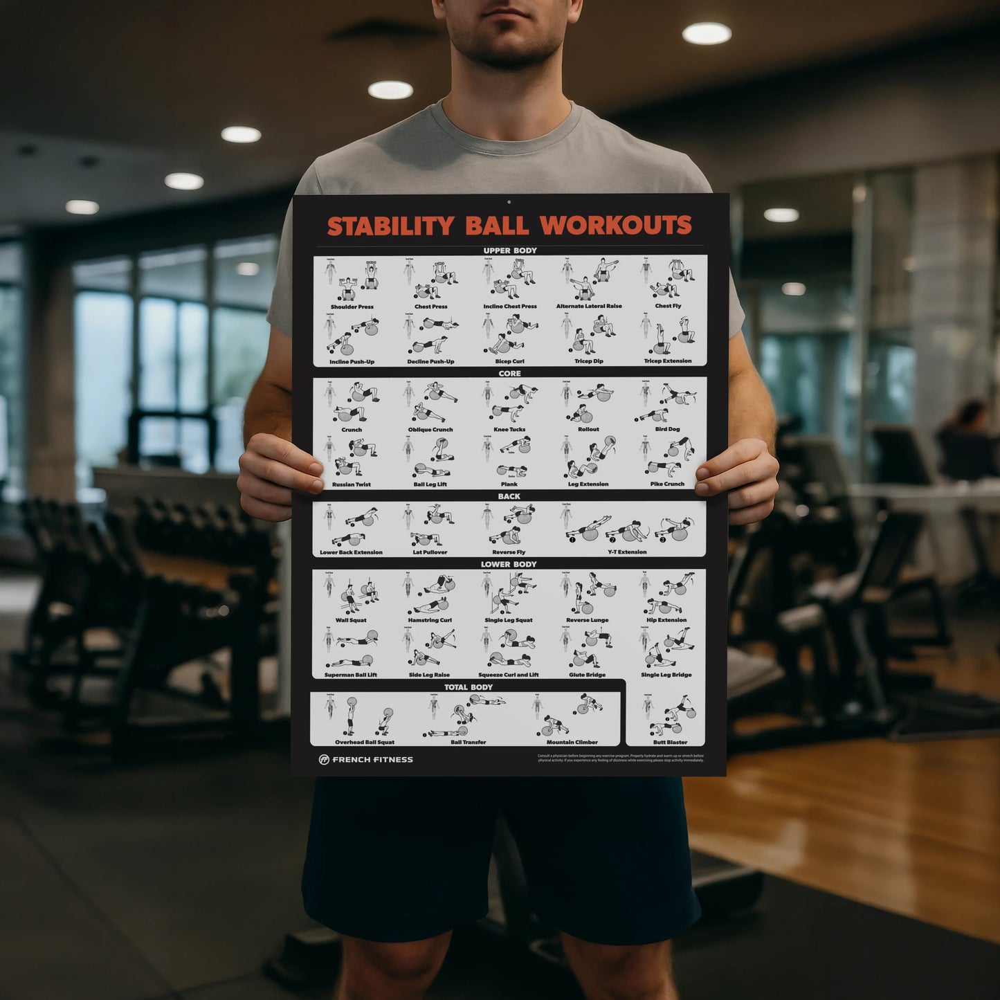French Fitness Stability Ball Workout Training Charts / Posters (New)