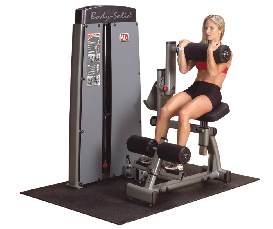 Body-Solid DABB-SF Pro Dual Ab & Back Machine (New)