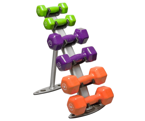 Body Solid GDR10 Vinyl Dumbbell Rack (New)